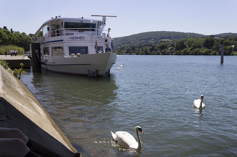 File:Bateau Hermès Neuville-sur-Saône & cygnes.jpg