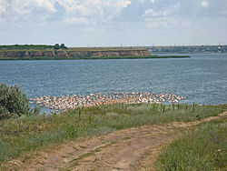 Berezan Estuary.jpg