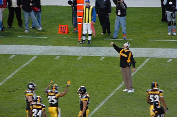 Cowher challenges a play