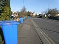 Blue bin day on Wyberton Low road - geograph.org.uk - 1211691.jpg