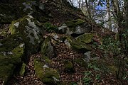 Blockschutt und Buchenwald am EbersbergLSG 2631001 Hessische Rhön