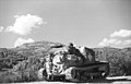 Włoska tankietka L 3 nieznanej wersji w barwach niemieckich w Albanii, 1943