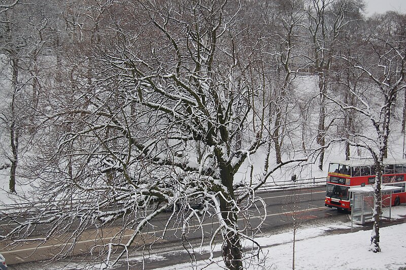 File:Bus and snow in Edinburgh.jpg