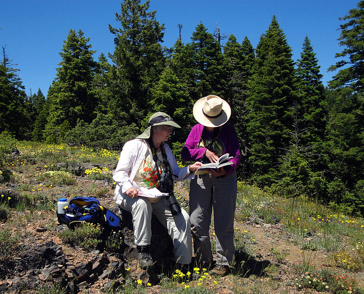 File:Butterfly Identification Rick Ahrens (7692407396).jpg