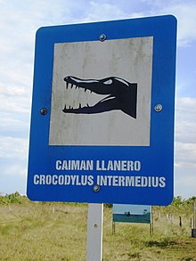 panneau signalétique de danger avec une tête de crocodile sur fond blanc encadré de bleu