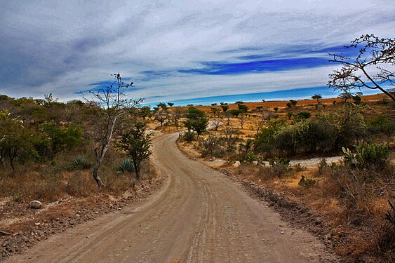 Camino a Ahuehuetes - Tepeojuma - Puebla - México HDR