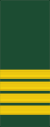 Canadian Army (sleeves) OF-5.svg