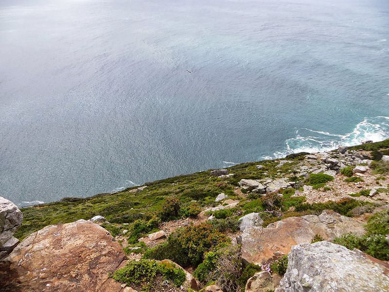 File:Cape Point, Cape Town, South Africa - panoramio (7).jpg