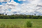 Thumbnail for Chapel of the Jesus Maria José Sugar Plantation