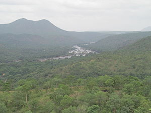 Přírodní rezervace Cauvery Wildlife Sanctuary 9.JPG