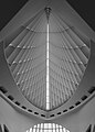 Image 404Ceiling of the Quadracci Pavilion, Milwaukee, Wisconsin, US