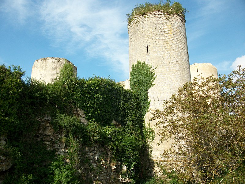 File:Chateau Coudray Salbart 008.jpg