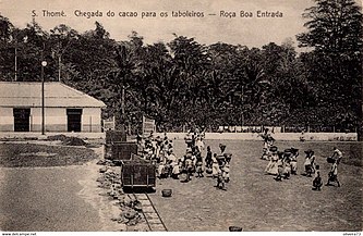 Chegada do Cacoa para os Taboleiros - Roça Boa Entrada (Edicao de Casa Parisienne, S. Thomé).jpg