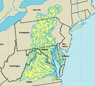 A rough map of the Chesapeake Bay watershed with blue lines for rivers drawn on top.