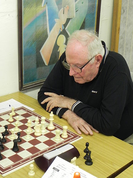 File:Chess players from IsraelDSCN5622.JPG