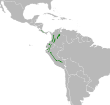 Chlorospingus canigularis map.svg 