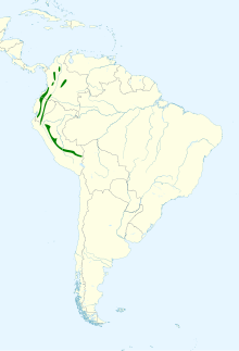 Chlorospingus flavigularis map.svg