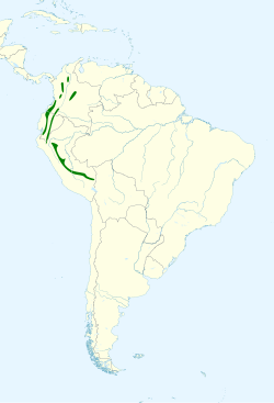 Chlorospingus flavigularis map.svg