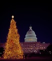 Christmas tree at the U.S. Capitol, Washington, D.C LCCN2011632157.tif