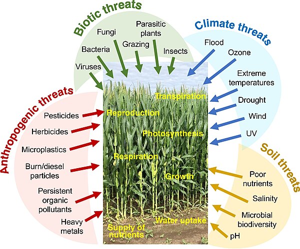 Schematic overview of the classes of stresses in plants