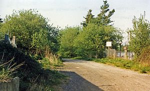 Clutton site of station geograph-3310001-by-Ben-Brooksbank.jpg