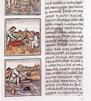 <i>Florentine Codex</i> Text by Bernardino de Sahagún