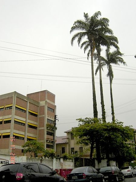 File:Colégio Stella Maris visto da rua Oswaldo Cruz - panoramio.jpg