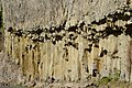 Columnar basalt closeup near Tower Fall in Yellowstone
