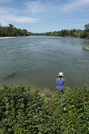 Français : Vue de la confluence Garonne-Ariège