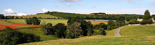 Cotswolds Panorama Fields