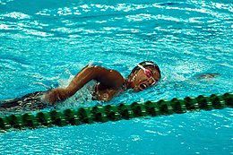 Plaquettes de natation — Wikipédia