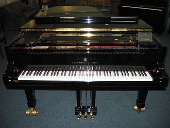 Hamburg Steinway D-274