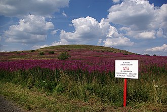 The Dammersfeldkuppe, a kuppe or domed hill in the Rhon Dammersfeld.jpg