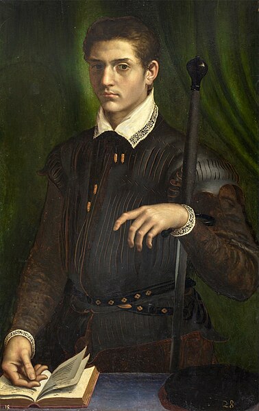 File:Daniele da Volterra (formerly attributed to Girolamo da Carpi) - Portrait of a Gentleman.jpg