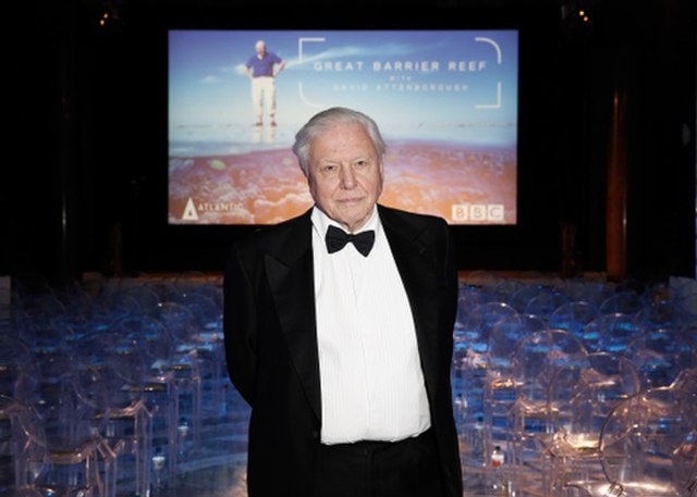 Attenborough at a screening of Great Barrier Reef, 2015