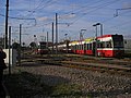 Trams at Therapia Lane Depot