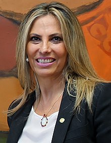 Deputada Cida Borghetti (PROS-PR), 2014.jpg