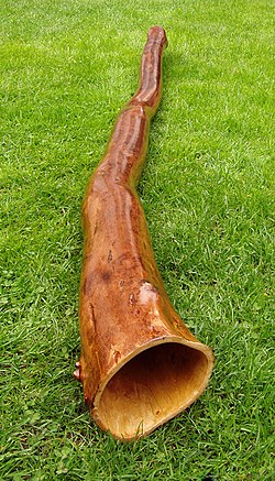 Didgeridoo-grass.jpg