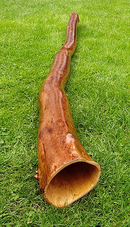 Didgeridoo