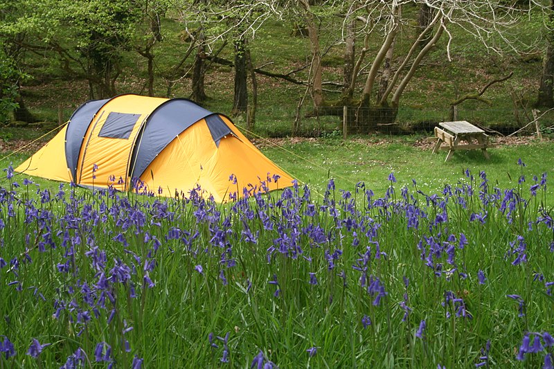 File:Dinas camping - geograph.org.uk - 1731943.jpg