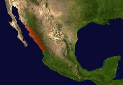 Distribution of B. emilia.