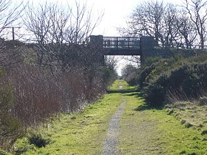 Disused railway - geograph.org.uk - 360768.jpg