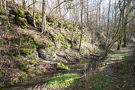 Dobrach oberhalb Grafendobrach (2)