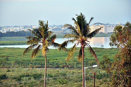 Bellandur, Bangalore South