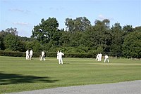 Ebernoe Cricket Pitch - geograph.org.uk - 44629.jpg