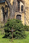 Ehrengrab auf einem Friedhof