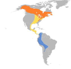 Distribución geográfica del mosquero alisero.