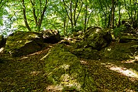 Iron pebble rocks Hörbach