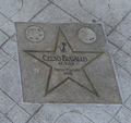 wikimedia_commons=File:Estrela Cans. Celso Bugallo, actor. Premio pedigree 2005.png