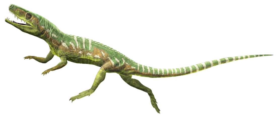 Archosauriformes